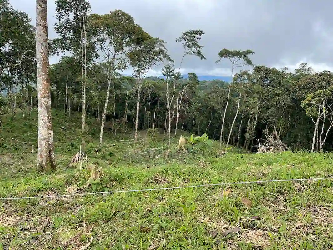 Finca Alto Gaviota